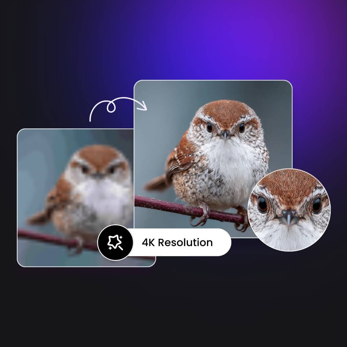 ぼやけた動画がクリアな4K解像度に向上した前後の比較